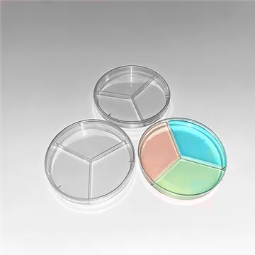 Что мы можем знать о чашке Петри?